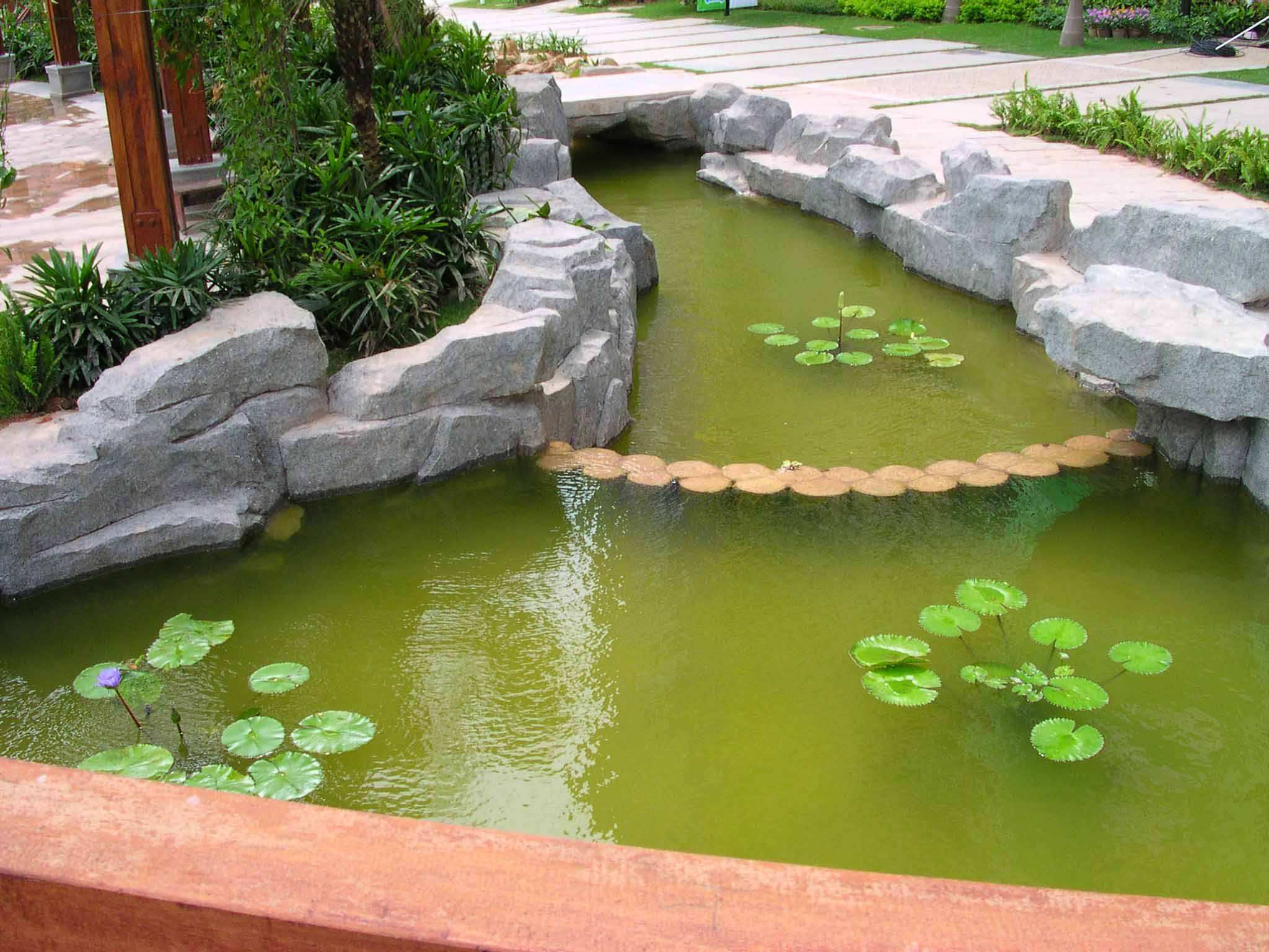 用十几年的庭院鱼池设计经验，和你谈谈庭院锦鲤梦是如何实现的！ - 知乎