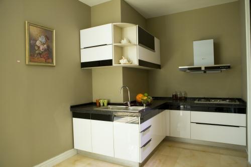 5平米厨房免漆板橱柜图片