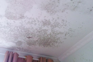 天花板发霉是什么原因 天花板发霉怎么处理妙招 天花板发霉是楼上漏水吗
