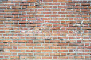 什么是混水墙 混水墙施工工艺 清水墙和混水墙砌墙图例