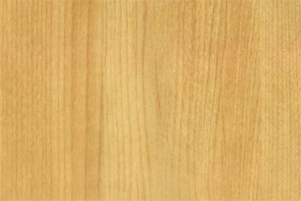 杉木板材和实木颗粒板哪个好