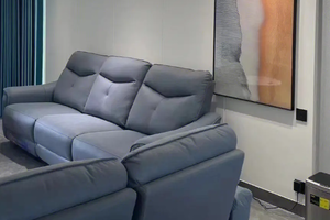 沙发选哪种材质的好 沙发什么品牌质量比较好